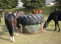 Rundraufe/ Heuglocke Bad Doberan - Landkreis - Sanitz Vorschau