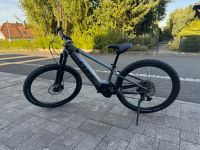 Cube Reaction Hybrid Pro 625Wh MTB Allroud E-Bike 2022 Bayern - Rentweinsdorf Vorschau