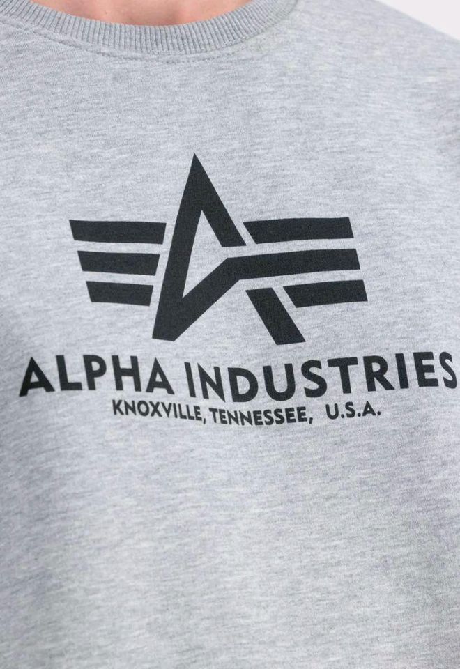 Alpha Industries Hoodie Grau L in Brühl