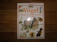 NEUwertig ~ KOSMOS SAATKORN ~ Naturführer für Kinder ~ Vögel Sachsen - Neundorf  Vorschau