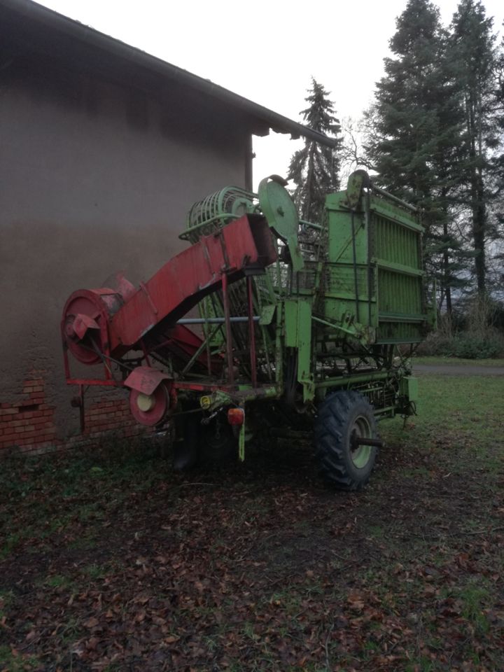 Zuckerrübenroder BKR  Stoll V 50 einreihig in Friedland