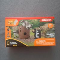 Schleich Tiere Schwein Hund Hase Rentier Bauernhof Farmworld Bayern - Burgau Vorschau