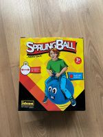 Neuer Sprungball, Hüpfball für Kinder ab 3 Jahre Sachsen - Haselbachtal Vorschau