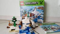 Lego Minecraft 21120 Versteck im Schnee Rheinland-Pfalz - Gückingen Vorschau