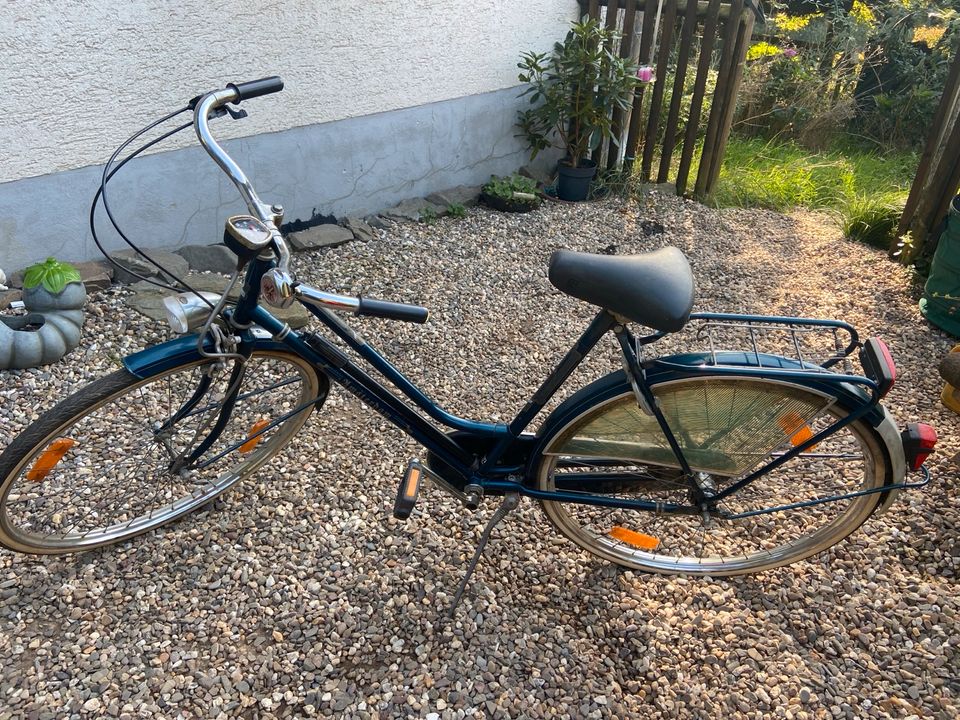 Damen Fahrrad in Odenthal