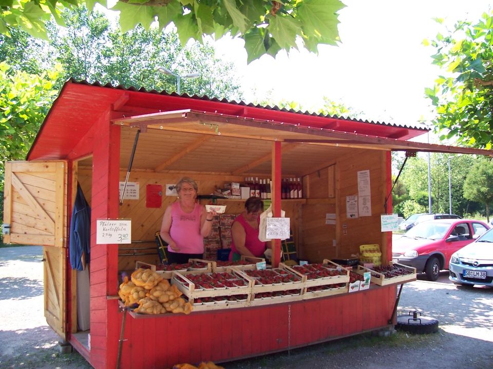 Verkäufer*innen für Erdbeeren & Spargel für Luisenthal in Völklingen