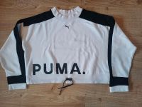 Sweatshirt von Puma gr. M Nordrhein-Westfalen - Detmold Vorschau