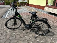 City E-Bike Pegasus Solero Evo 8 Thüringen - Römhild Vorschau