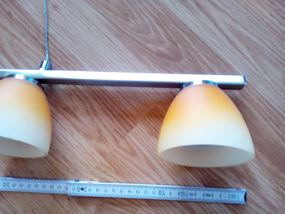 Pendelleuchte Lampe in Gefell