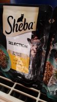 Neu SHEBA SELECTION in Sauce mit Huhn NASSFUTTER Katzenfutter Berlin - Mitte Vorschau