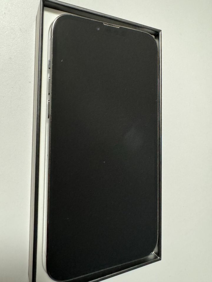 iPhone 13 Pro Max Graphite | 256 GB | OVP | Top Zustand | Zubehör in Korschenbroich
