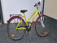 Fahrrad Pegasus Avanti 26 Zoll, super Zustand Nordrhein-Westfalen - Niederkassel Vorschau