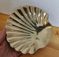 Muschelschale Bayern - Landsberg (Lech) Vorschau
