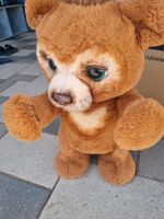 Hasbro sprechender Teddybär Bayern - Fuchstal Vorschau