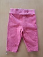 Sweathose, Hose, apricot, Gr. 62, mexx Nordrhein-Westfalen - Bornheim Vorschau