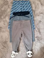 3 Unterteile / Hosen für Jungen Gr. 62/68 Nordrhein-Westfalen - Neuss Vorschau