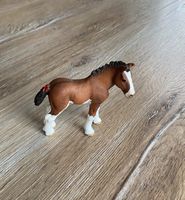 Clydesdale Fohlen | Schleich Pferd Niedersachsen - Rühen Vorschau