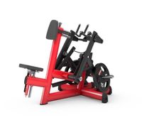 SUCHE Gym80 pure kraft Rudermaschine row plate loaded Hessen - Wiesbaden Vorschau