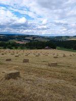 Heu HD Heuballen Schafe Ziegen Pferde Kaninchen Esel Rheinland-Pfalz - Watzerath Vorschau