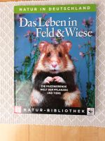 Das Leben in Feld und Wiese - Natur in Deutschland Nordrhein-Westfalen - Preußisch Oldendorf Vorschau