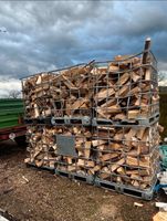 Brennholz|Feuerholz frisch Laubmischholz|Buche|Eiche|Esche Saarland - Heusweiler Vorschau