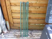 gartenstäbe grün 18mmx80cm hoch kein pay pal Hamburg-Nord - Hamburg Langenhorn Vorschau