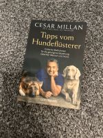 Buch „Tipps vom Hundedlüsterer“ Schleswig-Holstein - Großensee Vorschau