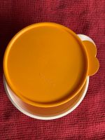 Tupperware Maximilian 1,4l orange Küche Dose Kochen frisch halten Duisburg - Homberg/Ruhrort/Baerl Vorschau