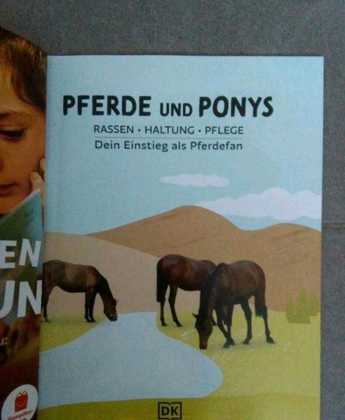 Pferde und Ponys 0.50€ in Pforzheim