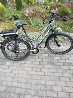 Fahrrad 26 zoll E-Bike SIMPLON KAGU 27Gang Rheinland-Pfalz - Altenkirchen Vorschau