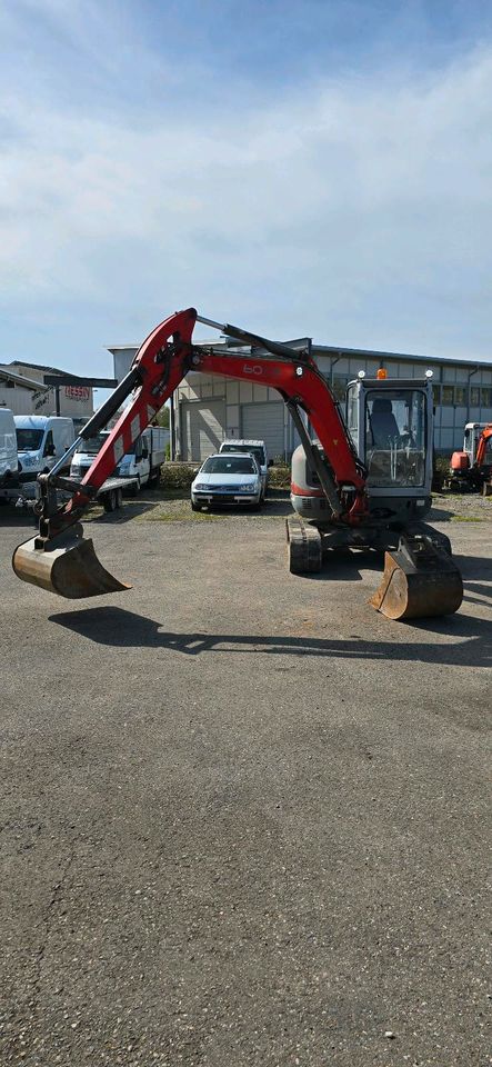 Minibagger Bagger Neuson 6003 RD  5,5 Tonnen  Löffelpaket in Zimmern ob Rottweil