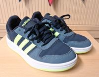 Adidas Hoops 39 1/3 Dresden - Weixdorf Vorschau