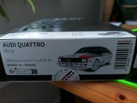 Sturmkind drift Audi Quattro Rally Baden-Württemberg - Achern Vorschau