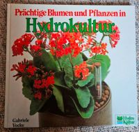 Prächtige Blumen und Pflanzen in Hydrokultur Gartenbuch Schleswig-Holstein - Hennstedt Vorschau