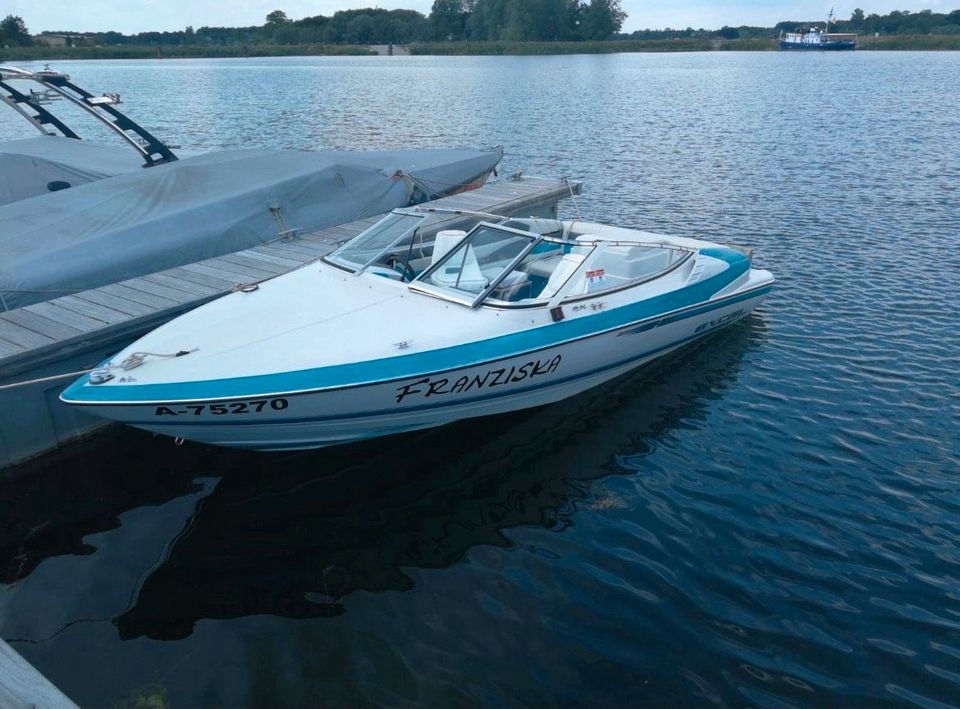 Wellcraft Excel 185L Motorboot Sportboot in Neuweiler