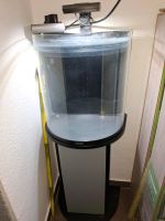 Aquarium Tetra 60l Nürnberg (Mittelfr) - Südoststadt Vorschau