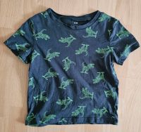 Kinder T-Shirt H&M Schwarz Dino Größe 98/104 Neuwertig Hessen - Fernwald Vorschau