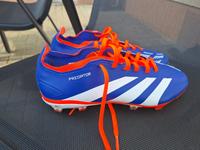 Fußballschuhe Sachsen-Anhalt - Kalbe (Milde) Vorschau