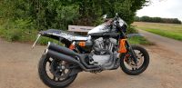 Harley xr 1200 enduro flat tracker Umbau Rheinland-Pfalz - Otterberg Vorschau