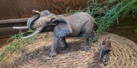 Schleich Spielfiguren Elefant Mutter und Kind Nordrhein-Westfalen - Herne Vorschau