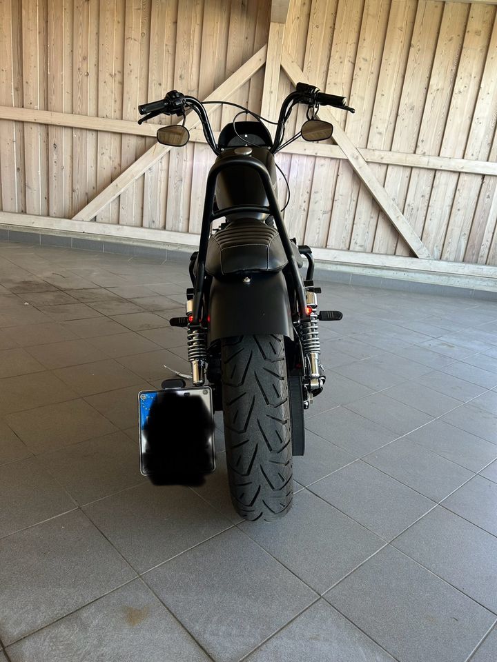 Harley Davidson Sportster Iron 883 in Ingolstadt