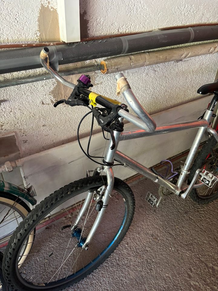 Fahrrad Herren in Gmund