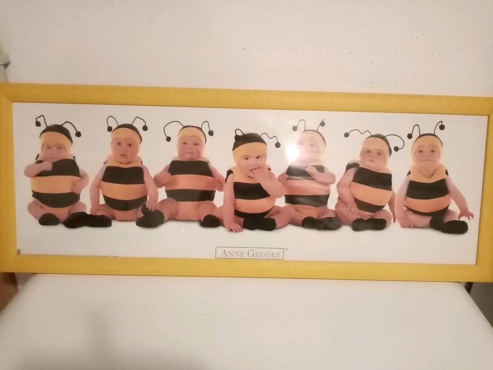 Anne Geddes, Babybild, Bienen in Scheer