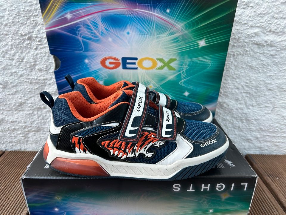 GEOX lights Sneaker Blinkies Gr. 37 blau/orange inkl. Versand in Kolbermoor