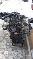 Audi A4 A5 A6 Q5 2,0 TDI DPT Motor Triebwerk Engine Nordrhein-Westfalen - Dorsten Vorschau