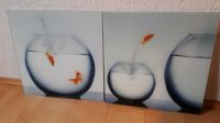 Glasbilder  Wandbild 2er Set Goldfisch Wasser Bayern - Langquaid Vorschau