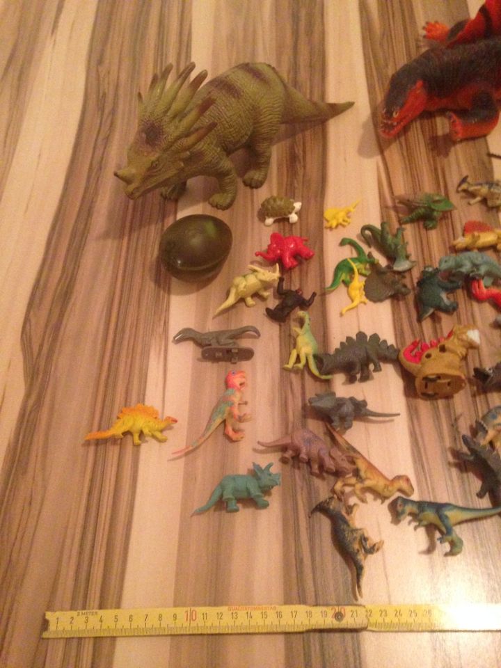 Sammlung Dinosaurier Spielzeug T-Rex Koffer Spiel Spaß Kinder in Glasau