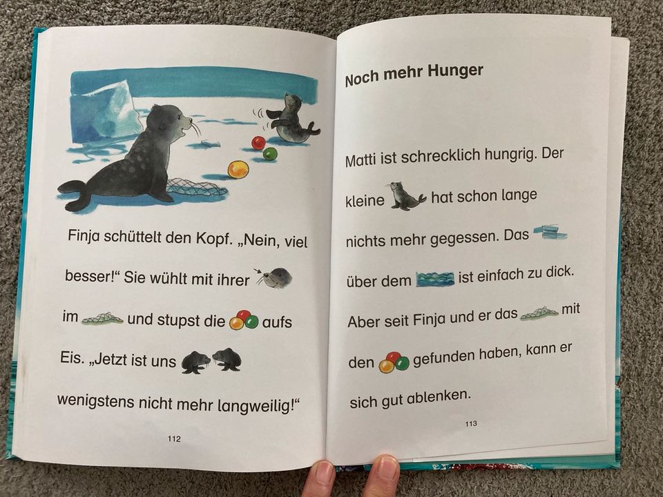 Buch „Jungsgeschichten zum Lesenlernen“ in Deckenpfronn