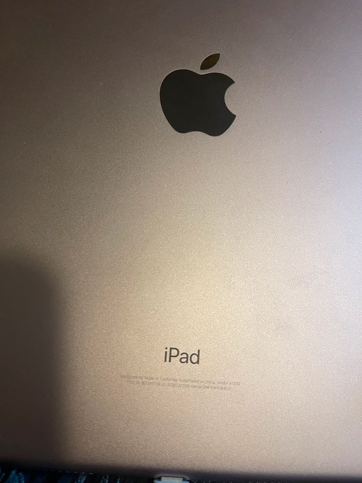 Apple IPad Pro Modell A1709 in Roségold 10,5 Zoll in Lippstadt