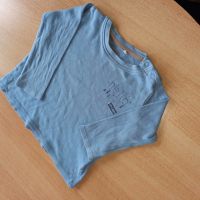 Shirt 74 80 Nordrhein-Westfalen - Horn-Bad Meinberg Vorschau